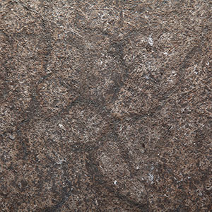 Grand Tortoise Limestone - Antique Thermal